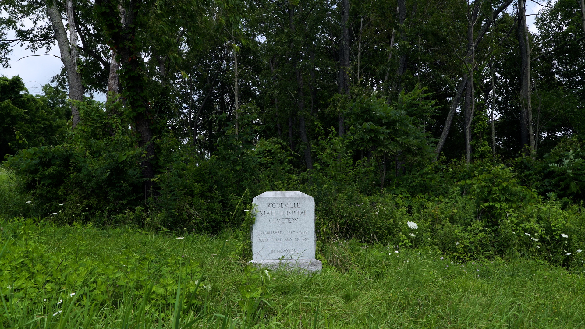Woodville_5