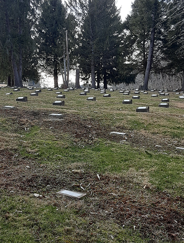 Image of Polk Center Cemetery, courtesy of Findagrave.com